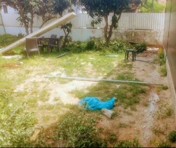 שיקום גינות